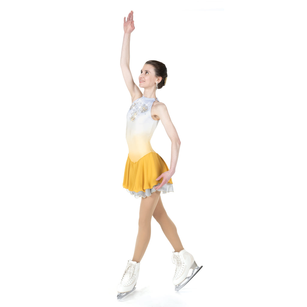 Aurora Ice AA002 Silver & Gold Dress