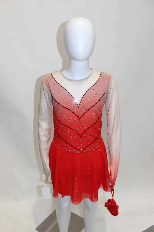 Unique Dress 495 Size adult 12-14