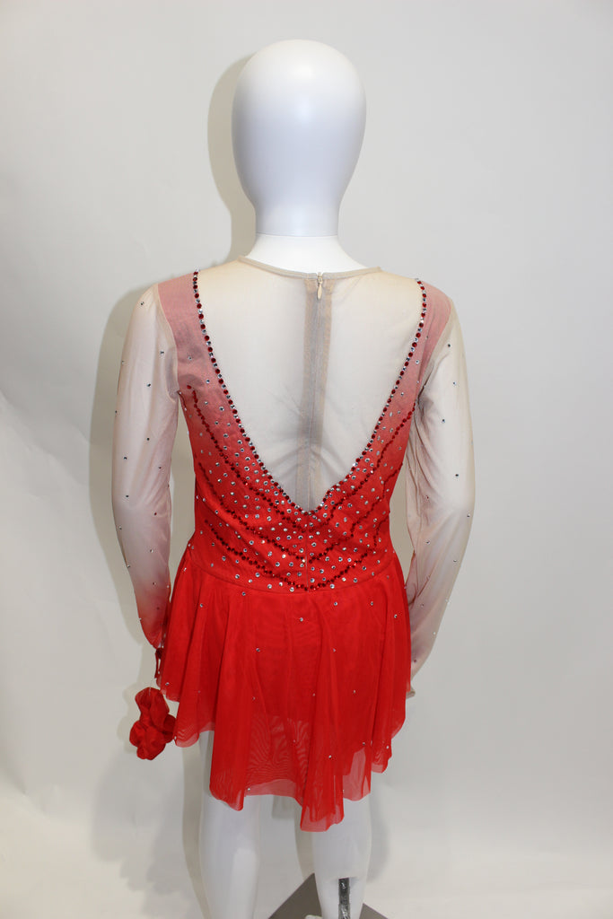 Unique Dress 495 Size adult 12-14