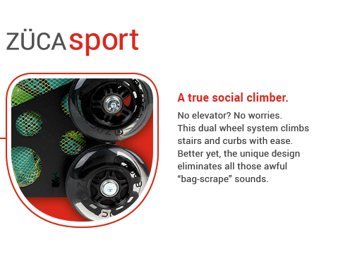 Zuca frame 2025